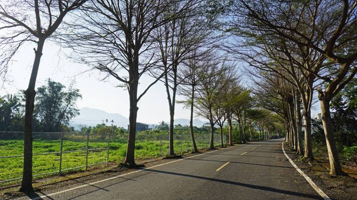 28619099_2102784503072487_6903470556335120284_o