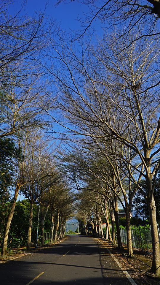 28661420_2102784506405820_2037053364627038172_n